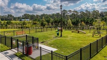 Bark park